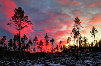 Solnedgång över elljusspåret Hörnefors
